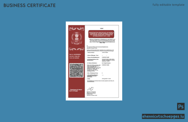 Registrierungsbescheinigung aus Punjab, Indien (Word- und PDF-Beispiel)